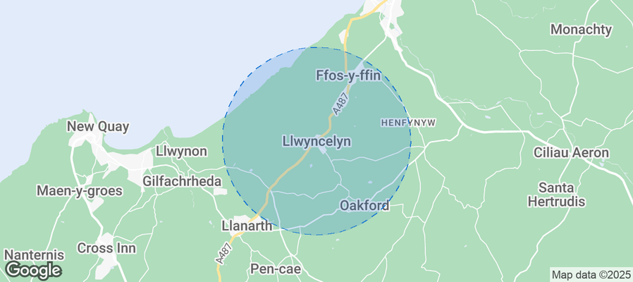 Discover Llwyncelyn Airbnb Analytics